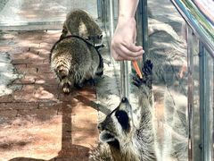 -水上乐园·欢乐世界