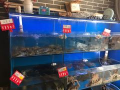 -食海部落