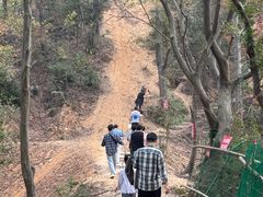 -青龙山国家森林公园