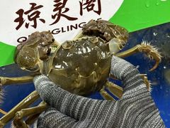 -阳澄湖大闸蟹·琼灵阁牌品牌连锁(吴中总店)