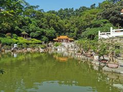 -深圳仙湖植物园
