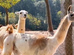 -杭州野生动物世界