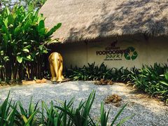 -大象粑粑造纸公园