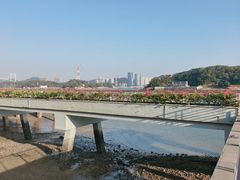 -海沧湾公园