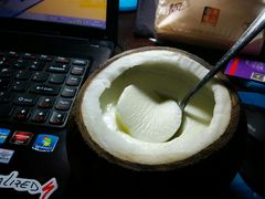 -志龙皇冠吃货椰子铺