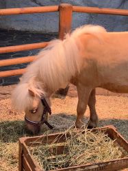 -Zoolung Zoolung动物主题公园(海信广场店)