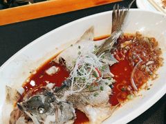 -紫光园·烤鸭·北京菜(团结湖店)