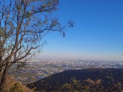 -北京西山国家森林公园