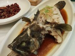 -鲁班张中原家宴(马庄街店)