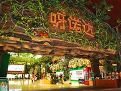 -呀诺达热带雨林