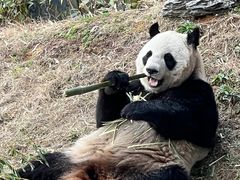 -杭州野生动物世界