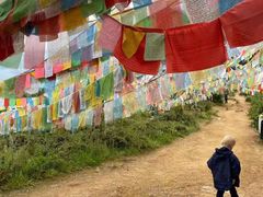 -迪庆藏族自治州博物馆