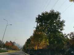 -四门塔风景区