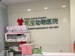 -悦宠凯宝动物医院·牙科·皮肤科(朝阳北路店)