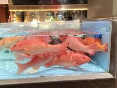 -阿伟海鲜楼·福建菜(延寿店)
