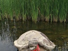 -前关湿地公园