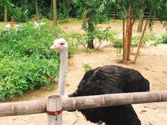 -大连森林动物园