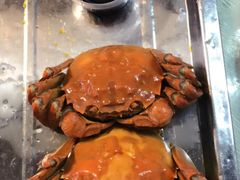 -老梅园大虾城(河西店)