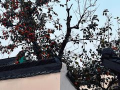 -北寺塔