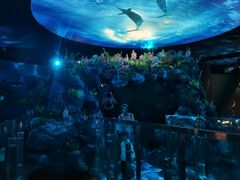 -陕西自然博物馆