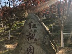 -广州市帽峰山景区