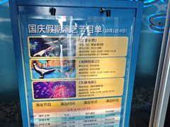 -烟台海昌鲸鲨海洋公园