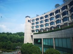-杭州君悦酒店