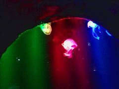 -南昌海洋公园