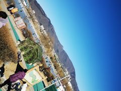 -永定河休闲森林公园