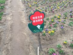 -丹樱生态园