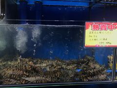 -蚝专家(北滘店)