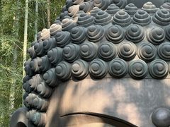 -杭州植物园