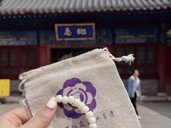 -西安大兴善寺