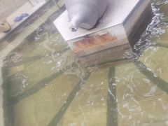 -碧水湾温泉