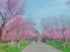 -上海海湾国家森林公园