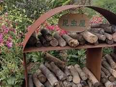 -东莞植物园