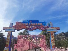 -北京凤凰岭