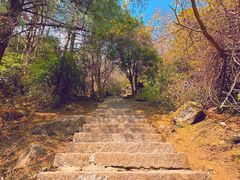 -苍山感通索道