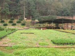 -韶山毛泽东同志故居