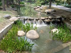 -陈家山荷花公园
