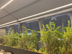 -柿合缘新京菜(国金中心商场店)