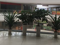 -偶屋里钵少爷(时代广场店)