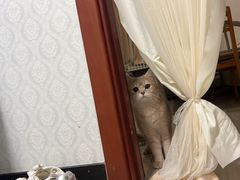 -美迦爱动物医院·夜诊(朝阳路诊疗中心)