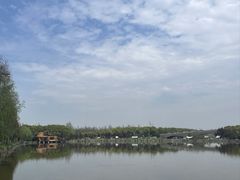 -广富林郊野公园