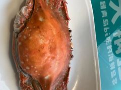 -大锅强·蒸海鲜青岛菜(金沙滩店)