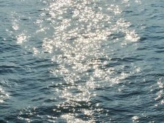 -演武大桥观景平台