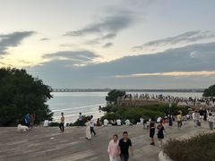 -宝安西湾红树林湿地公园