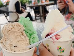 -柠檬车露(卖草地店)