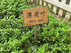 -三亚太阳湾柏悦酒店