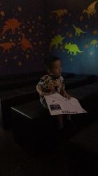 -恐龙探索乐园(磁器口店)